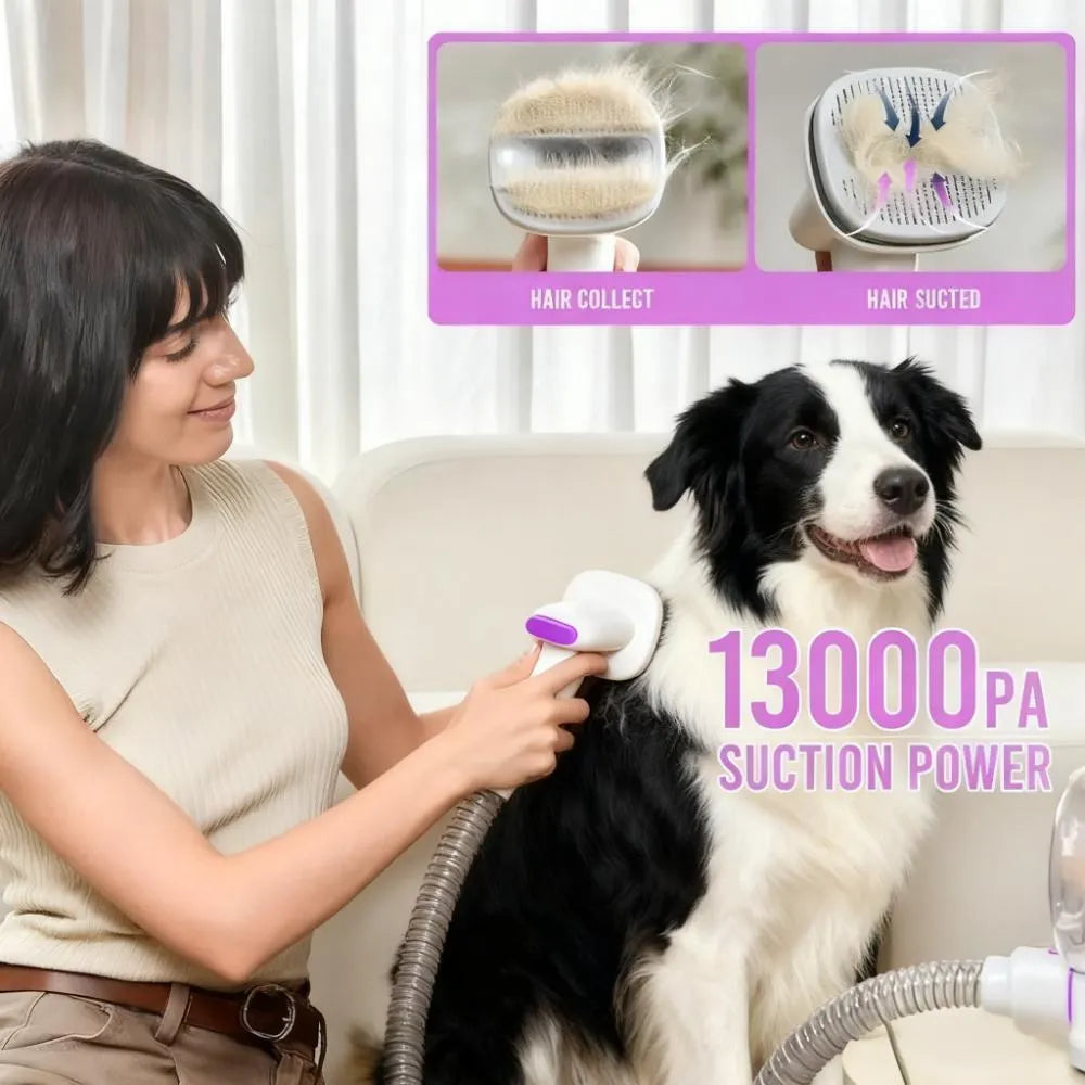 Home Pet Grooming Kit: Vacuum with 2.5L Cup & Clippers for Dog/Cat Hair